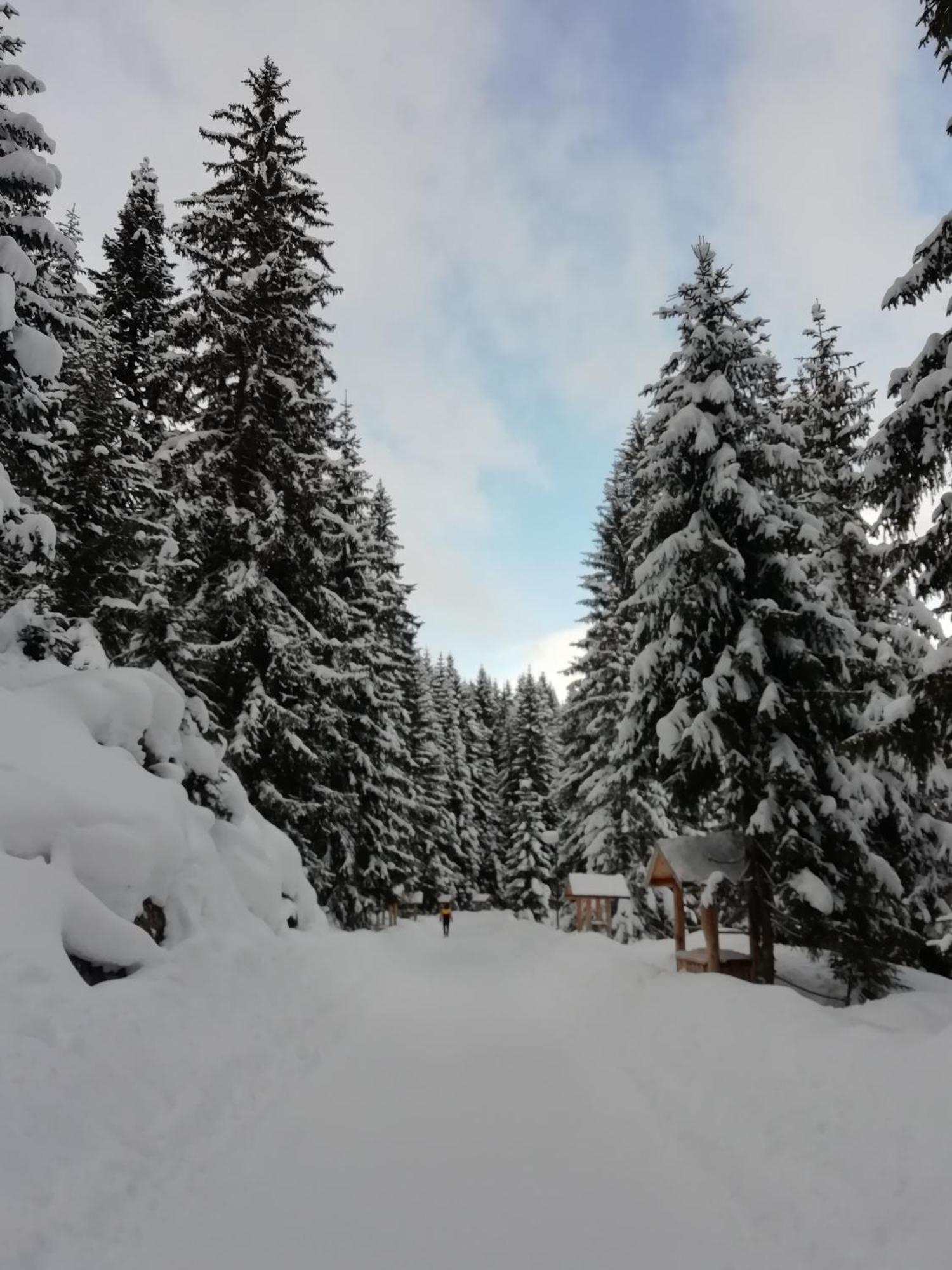 Chalet Kovacevic Zabljak  Exterior photo